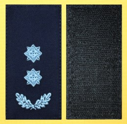 010 подполковник  дснс